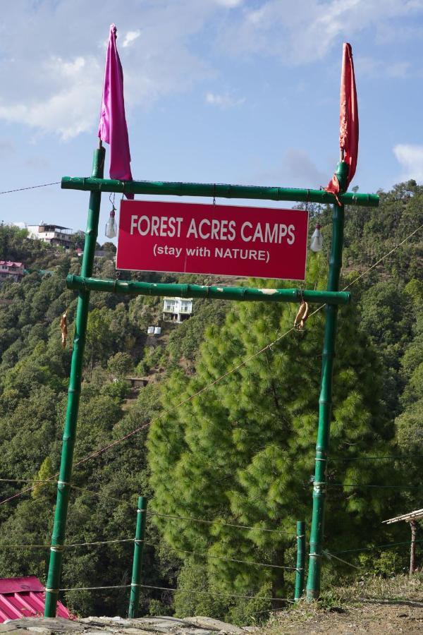Forest Acres Camps Mukteshwar Exteriör bild